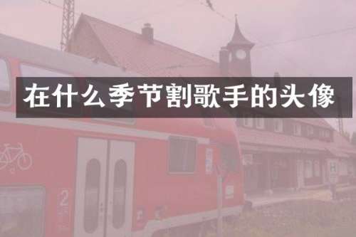 在什么季节割歌手的头像