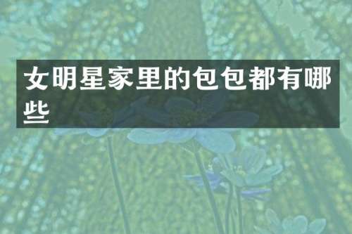 女明星家里的包包都有哪些