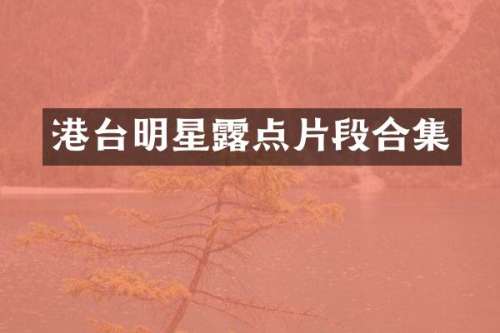 港台明星片段