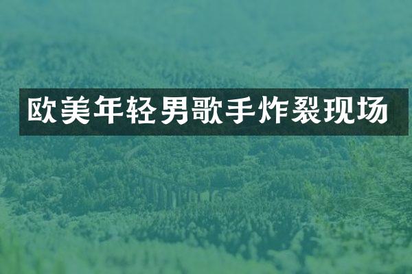 欧美年轻男歌手炸裂现场