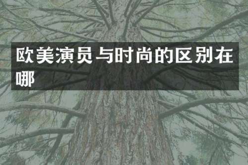 欧美演员与时尚的区别在哪