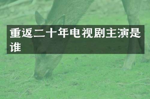 重返二十年电视剧主演是谁
