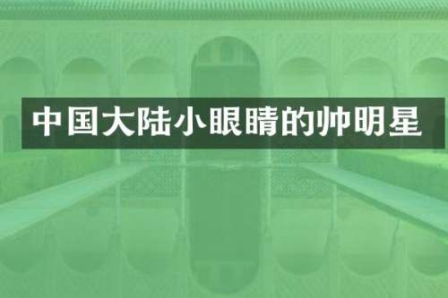 中国大陆小眼睛的帅明星
