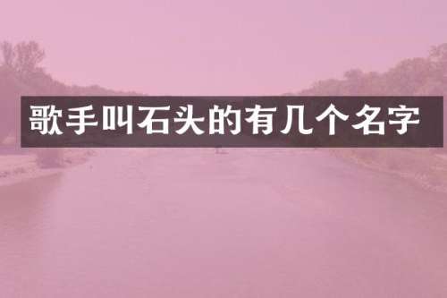 歌手叫石头的有几个名字