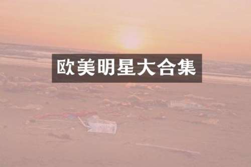 欧美明星大
