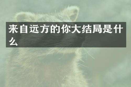 来自远方的你大结局是什么