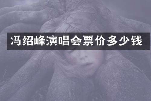 冯绍峰演唱会票价多少钱