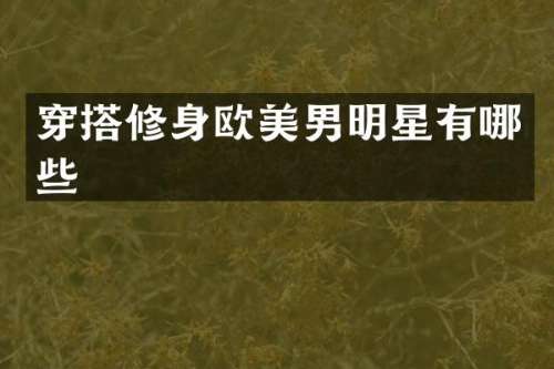 穿搭修身欧美男明星有哪些