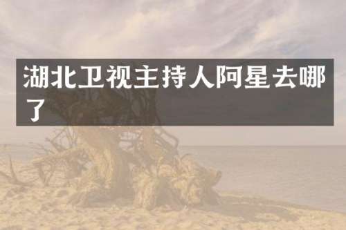 湖北卫视主持人阿星去哪了