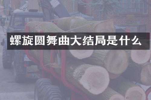 螺旋圆舞曲大结局是什么