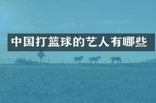 中国打篮球的艺人有哪些