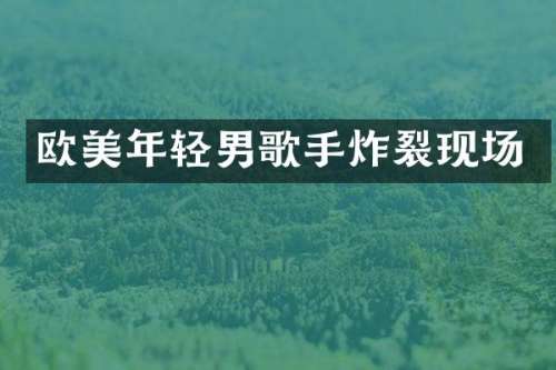 欧美年轻男歌手炸裂现场