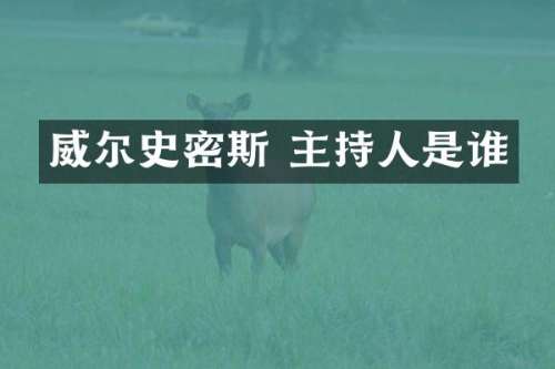 威尔史密斯 主持人是谁