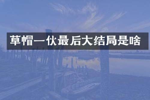 草帽一伙最后大结局是啥