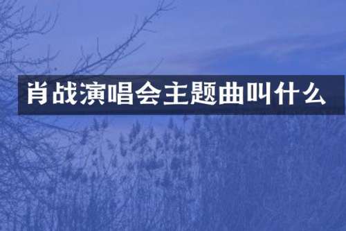 肖战演唱会主题曲叫什么