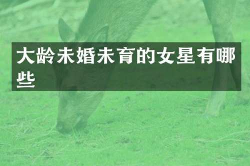 大龄未婚未育的女星有哪些
