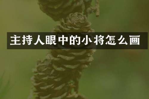 主持人眼中的小将怎么画