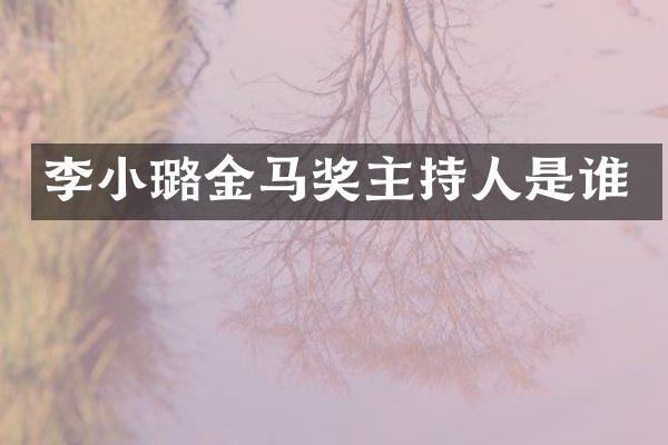 李小璐金马奖主持人是谁