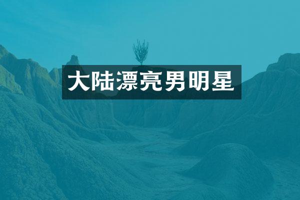 大陆漂亮男明星