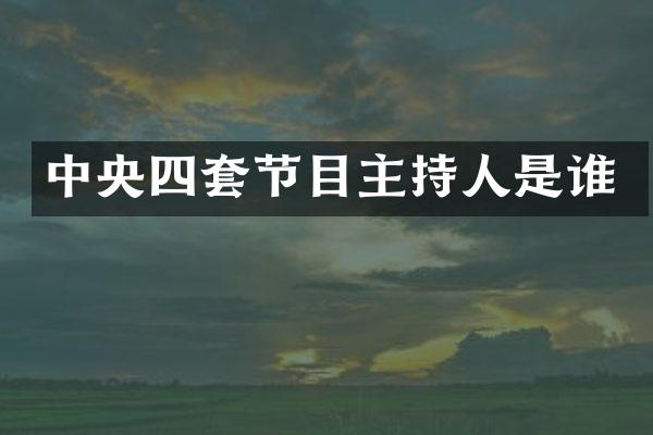 中央四套节目主持人是谁