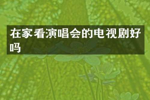 在家看演唱会的电视剧好吗