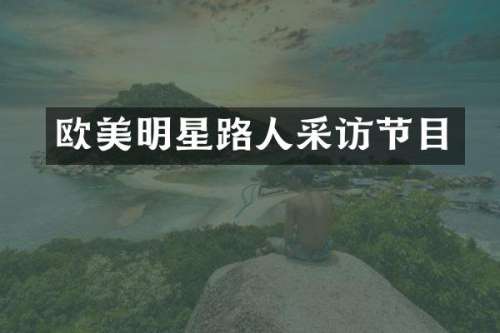 欧美明星路人采访节目