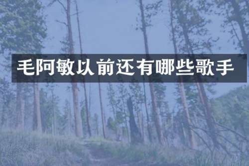 毛阿敏以前还有哪些歌手