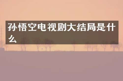 孙悟空电视剧大结局是什么