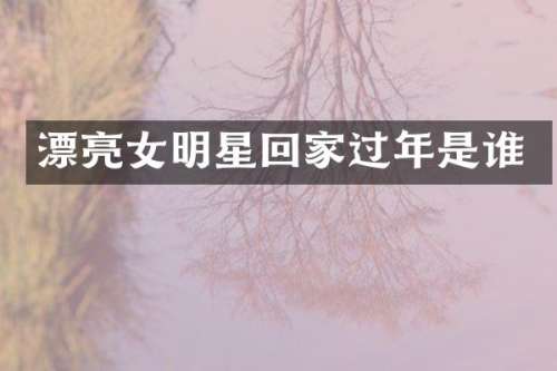 漂亮女明星回家过年是谁