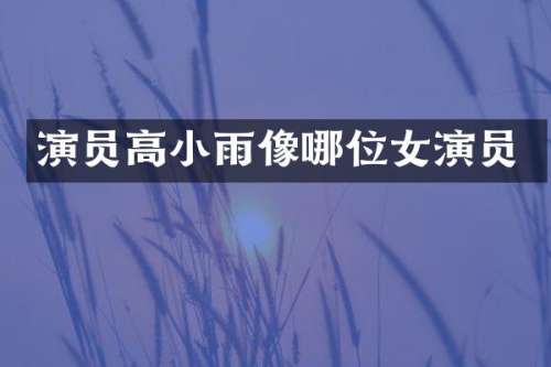 演员高小雨像哪位女演员