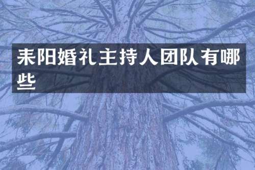 耒阳婚礼主持人团队有哪些