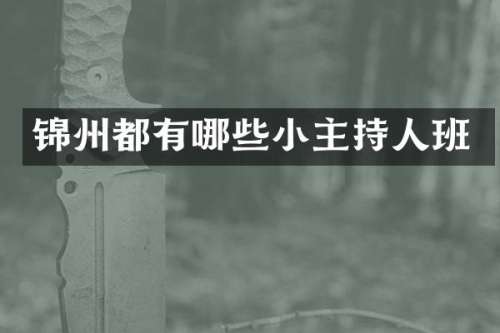 锦州都有哪些小主持人班