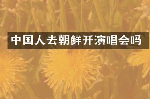 中国人去朝鲜开演唱会吗