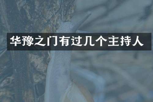 华豫之门有过几个主持人