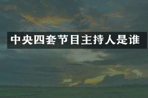 中央四套节目主持人是谁