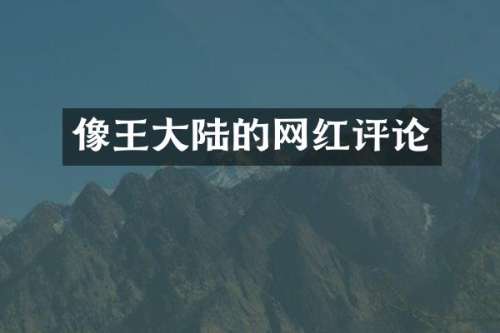 像王大陆的网红评论