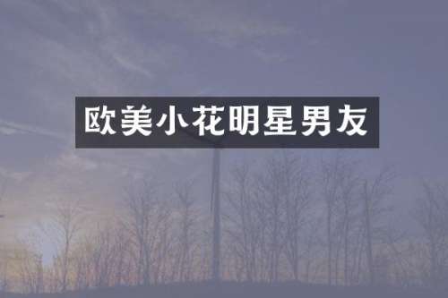 欧美小花明星男友