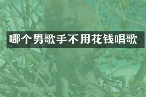 哪个男歌手不用花钱唱歌