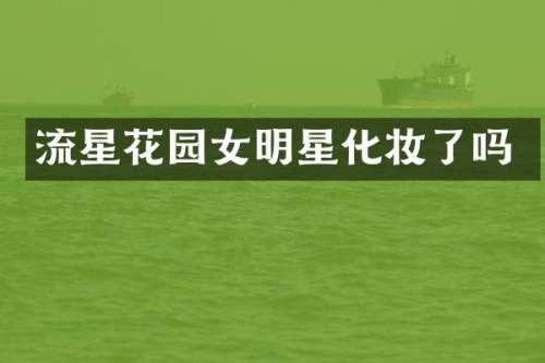 流星花园女明星化妆了吗
