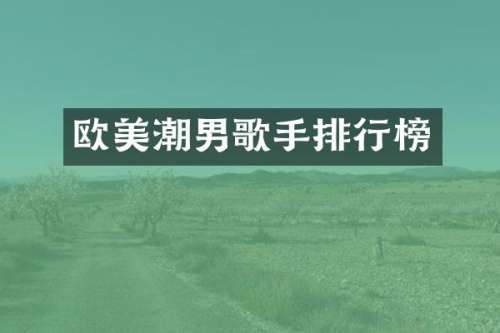 欧美潮男歌手排行榜