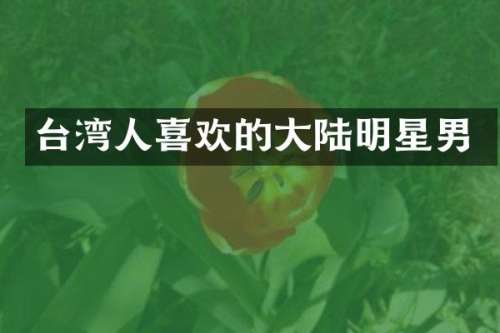 台湾人喜欢的大陆明星男