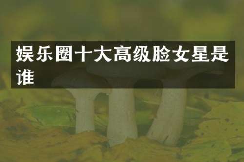娱乐圈十大高级脸女星是谁