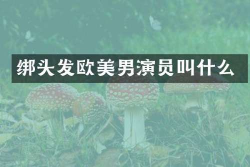 绑头发欧美男演员叫什么