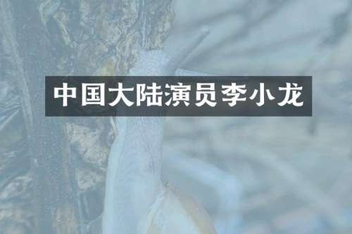 中国大陆演员李小龙