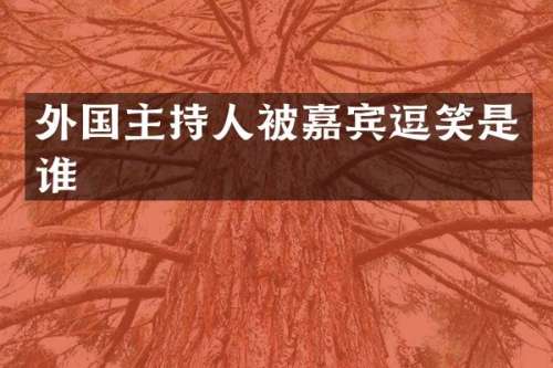 外国主持人被嘉宾逗笑是谁