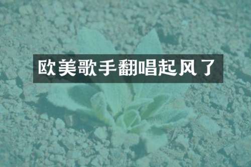 欧美歌手翻唱起风了