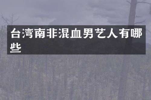 台湾南非混血男艺人有哪些