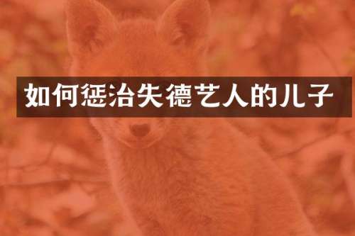 如何惩治失德艺人的儿子