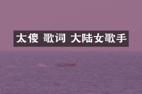 太傻 歌词 大陆女歌手