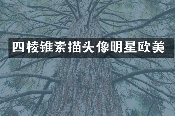 四棱锥素描头像明星欧美